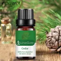 10ml Essential Oil Soothing Non-irritating Hydration Plant Extract Body Care Tool Exquisite Cedar Skin Essential Oil for Relaxing. 