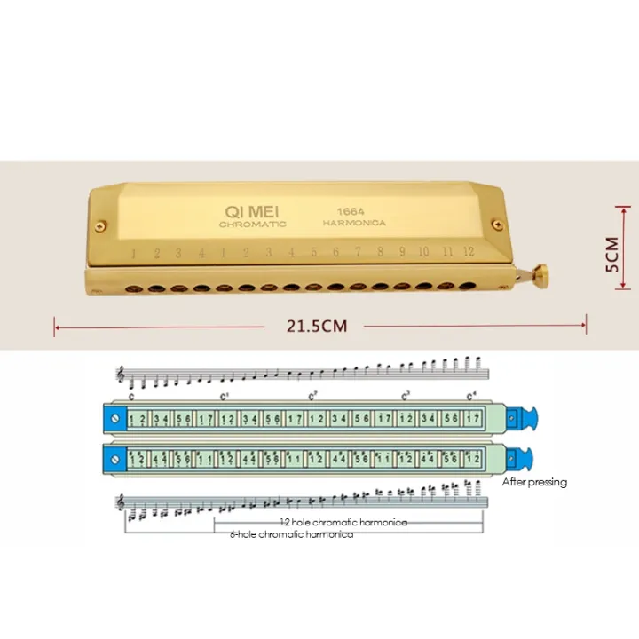 BRADOO-%20QI%20MEI%20Chromatic%20Harmonica%2016%20Hole%2064%20Tone%20Mouth%20Organ%20Instrumentos%20Key%20of%20C%20Professional%20Musical%20Instruments%20-%20Image%205