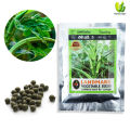 Okra M.I.5 Seeds Home Garden agricultural 25g Banndakka Beeja. 