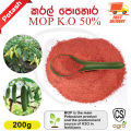 Muriate Of Potash (MOP) 200g for Home Garden Fertilizer K2O 50% Blooming. 