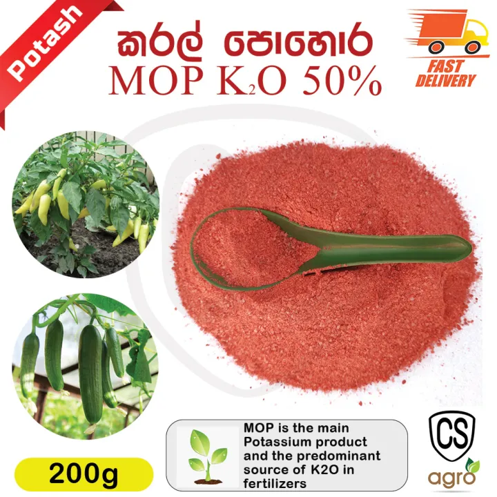 Muriate%20Of%20Potash%20(MOP)%20200g%20for%20Home%20Garden%20Fertilizer%20K2O%2050%25%20Blooming%20-%20Image%202