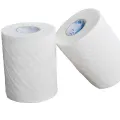 Toilet Tissue Rolls  25 Pcs Pack  Eco Friendly Soft & High Quality Disposable Toilet Paper Tissues. 