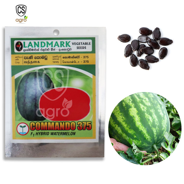 Watermelon%20Commando%20-%20375%20Seeds%20-%2010%20Pani%20Komadu%20Beeja%20%E0%B6%B4%E0%B7%90%E0%B6%AB%E0%B7%92%20%E0%B6%9A%E0%B7%9C%E0%B6%B8%E0%B6%A9%E0%B7%94%20%E0%B6%B6%E0%B7%93%E0%B6%A2%20%20Home%20Gardening%20Agriculture%20-%20Image%202