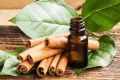 Cinnamon Leaf Oil. 