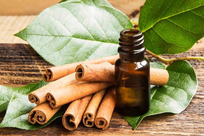 Cinnamon%20Leaf%20Oil%20-%20Image%205