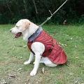 Cozy Waterproof Windproof Dog Vest Winter Coat - Fleece Lined Reflective Dog War M Cloting Cold Weather Dog Jacket for Small Dogs. 