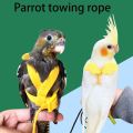Budgie For Small Medium Birds Adjustable Outdoor Rope With Wing Bird Harness Bird Nylon Flight Training Rope Bite Bird Traction Belt. 