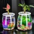 Fish Bowls for Ornament Table Centerpiece Pot Belly. 