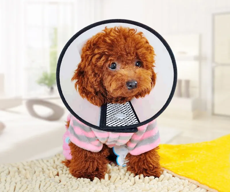 Pet Protective Cover Dog Neck Cone Recovery Cone Collar for Anti