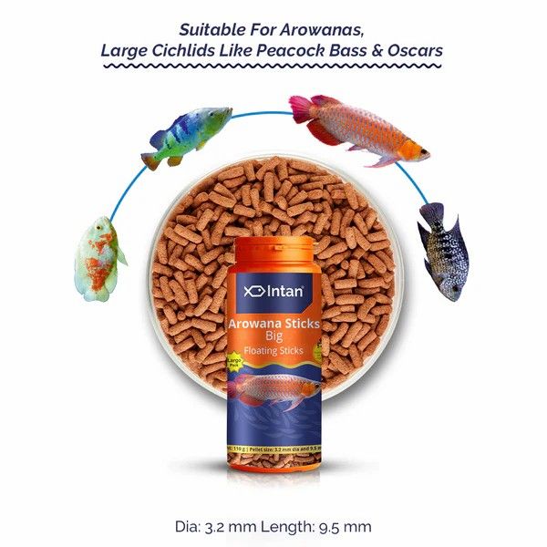 Intan%20Growel%20Arowana%20Sticks%20Big%20110g%20(3.2x9.5mm%20Floating)%20Highly%20Nutritious%20Ornamental%20Fish%20Food%20for%20Arowanas,%20Large%20Cichlids%20like%20Peacock%20Bass%20&%20Oscars%20Fish%20Feed%20-%20Image%203