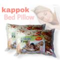 Kapok Pillow (15x22). 