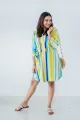 Ray Linen Shirt Dress. 