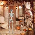 Skull Halloween Skeleton Full Body Realistic Decorations Faux Human Skeleton for Home. 