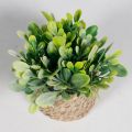 Nordic Style Green Artificial Potted Plant 11cm Woven Artificial Plants Plastic Leaf Eucalyptus Grass Artificial Decorations Home Decor. 