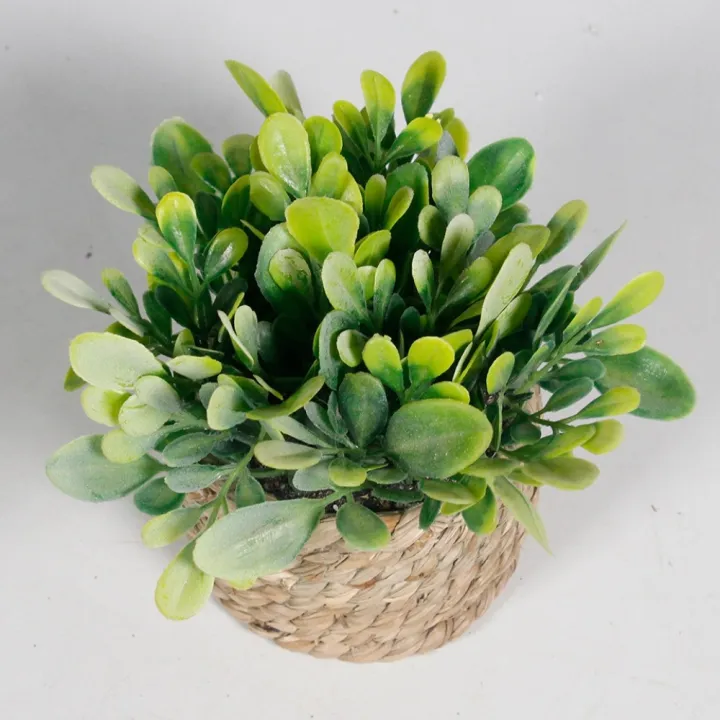 Nordic%20Style%20Green%20Artificial%20Potted%20Plant%2011cm%20Woven%20Artificial%20Plants%20Plastic%20Leaf%20Eucalyptus%20Grass%20Artificial%20Decorations%20Home%20Decor%20-%20Image%203