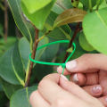 Nylon Cable Adjustable Self-Locking Cord Wire Binding Wrap Straps Garden Fence Fixing Fastening Loop Support. 