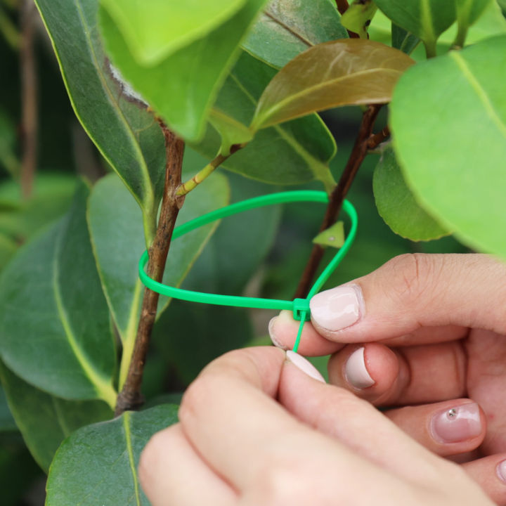 Nylon%20Cable%20Adjustable%20Self-Locking%20Cord%20Wire%20Binding%20Wrap%20Straps%20Garden%20Fence%20Fixing%20Fastening%20Loop%20Support%20-%20Image%203