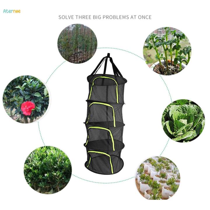 Plants Drying Rack Folding Hanging Drying Net for Tea Dolls Vegetables