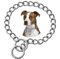 Medium Large Dog Collar Adjustable Slip Choker Chain Heavy Duty Necklace Collar Puppy Dog Belt Dog Collars Dogs Belt Dog Strap Silver Metal Chain Buckle Pets Dog Chain Metal Collar Dogs Sale Sri Lanka Dogs Sale Strip Lanka Dogs Sell Pets Dog Sale. 