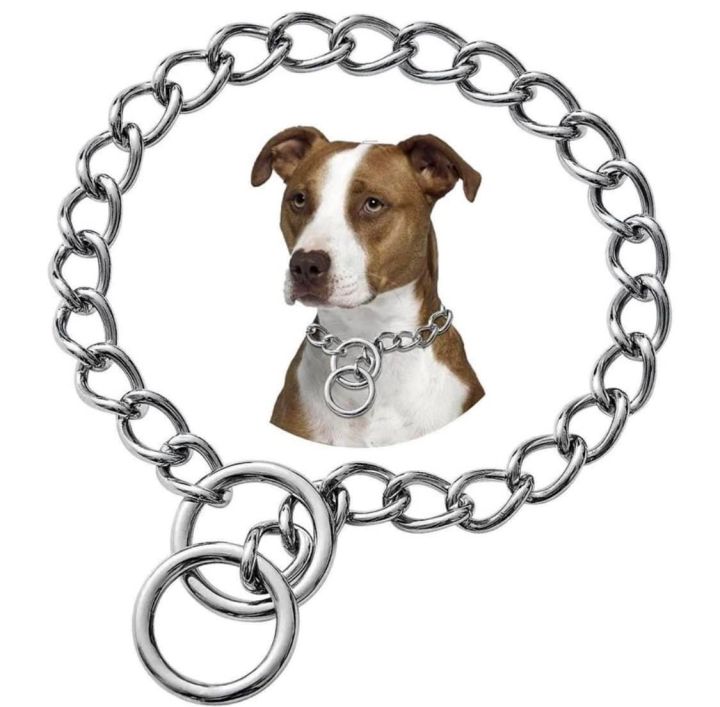 Large dog choker chain best sale