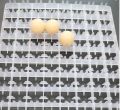 88 Egg Tray for Incubator Automatic egg Tray. 