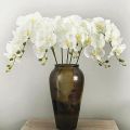 【Hannah Martin Official Store】Artificial White Orchid Flowers High Quality Butterfly Moth Phalaenopsis Fake Flower for Festival Decoration. 