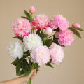 Tabel Peony Flower 3 Heads Home Decor Flower Beautiful 72cm Long for Tabel Decoration Event Decoration Centerpiece. 