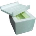 Rigiform (styrofoam) Box w/Blue Ice and cardboard box (24x17.5x17.5 cm). 