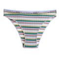 Striped Women Panties Fashion Brazilian Panties Fashion Ladies M-XXL Bikinis Panties Soft Underwear. 