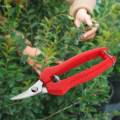 Gardening Hand Pruners Sharp Fruit Picking Scissors for Farm Thinning. 
