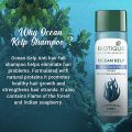 Biotique Ocean Kelp Anti Hairfall Shampoo | Intensive Hair Growth Therapy| Anti Hairfall Shampoo that Maintains Shine |100% Botanical Extracts | Suitable for All Hair Types |120ml(FROM INDIA). 