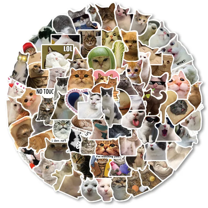 100PCS%20Cute%20Cat%20Meme%20Stickers%20-%20Viral%20Kitty%20Meme%20Doodle%20Decals%20For%20DIY%20Fun%20Layor%20-%20Image%202