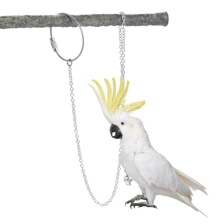 1Pcs%20Stainless%20Steel%20with%20Swivel%20Buckle%20Starling%20Pigeon%20Outdoor%20Parrot%20Foot%20Ring%20Bird%20Accessories%20Bird%20Stand%20Ankle%20Parakeet%20Foot%20Chain%20-%20Image%204