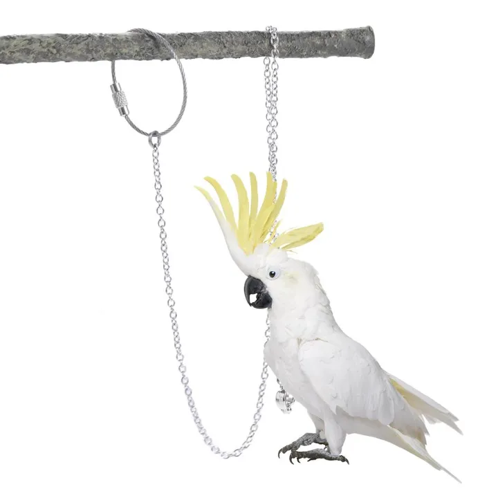 1Pcs%20Stainless%20Steel%20with%20Swivel%20Buckle%20Starling%20Pigeon%20Outdoor%20Parrot%20Foot%20Ring%20Bird%20Accessories%20Bird%20Stand%20Ankle%20Parakeet%20Foot%20Chain%20-%20Image%204