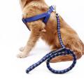 Small Adjustable Dog Harness and Outdoor Walking Nylon Dog Leash Lead Pets Dog Sale Durable Traction Training Rope Dog Belt Dog Chain Dog Body Belt Chest Belt Step-in Harness Strap Stainless Steel Metal Buckle Plastic Clasp Dog Collar Dog Strap Dogs Belt. 
