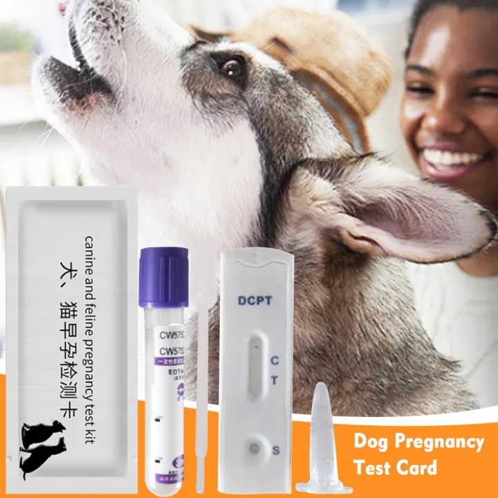 Dog%20Pregnancy%20Test%20Strip%20Dog%20Pregnancy%20Test%20Canine%20Pregnancy%20Test%20Early%20Pregnancy%20Test%20Strips%20Veterinary%20Supplies%20-%20Image%207