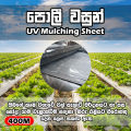 Agriculture Weed Control Mulching Sheet 400m X 1.2m Bocking Sunlight and Preventing Weed Seeds from Germinating. 