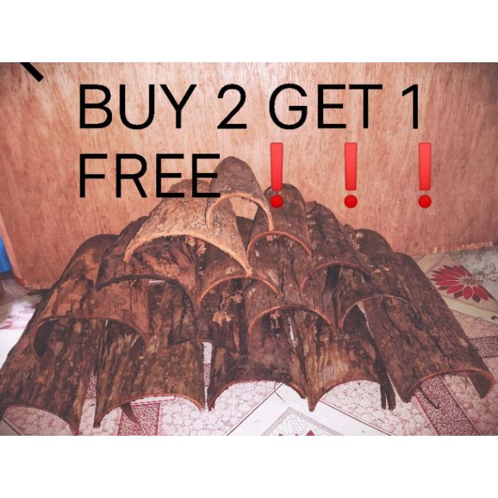 ●Tarantula hide, Reptile etc..Balat ng Mahogany ,dry Mahogany Bark