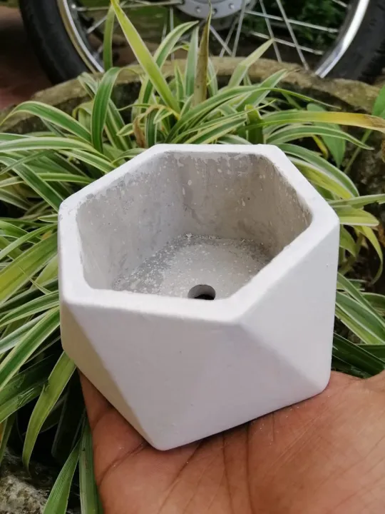 Cactus%20MINI%20POTS%20Cacti%20Planters%20Cactus%20Plant%20Pot%20Flower%20Pot%20Indoor%20Flower%20Planter%20Small%20Flower%20Pots%20-%20Image%203