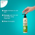 Pilgrim Australian Tea Tree Non-Drying Anti-Dandruff Shampoo 200 ml | Removes Dandruff from Source | Helps with Itching, Irritation | Strong & Smooth Hair | For Men & Women |(FROM INDIA). 