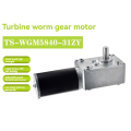 5840-31ZY Turbo Worm Encoder Micro DC Reduction Motor Self Locking Speed Control Small Motor 24V 24V40RPM. 