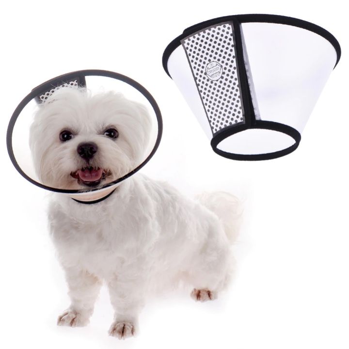 Dog protective collar hotsell