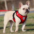 2023 Breathable Dog Accessories Mesh Nylon Durable Walking Dog Rope Pet Chest Strap Dog Traction Rope Dog Harness And Leash. 