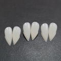 1 Pair Bloodcurdling Vampire Werewolves Fangs Fake Dentures Teeth Costume Halloween Fad. 