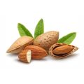 Fresh California Almond Badam Nuts Packet 100g ( Jumbo Size ). 