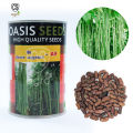 Long Beans A9 Seeds මෑ බීජ 100g. 