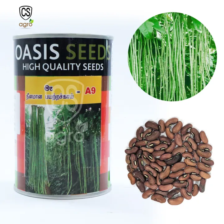 Long%20Beans%20A9%20Seeds%20%E0%B6%B8%E0%B7%91%20%E0%B6%B6%E0%B7%93%E0%B6%A2%20100g%20-%20Image%202