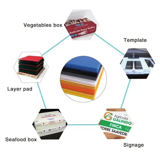 A4%20size%203mm%20thk%20PP%20Corrugated%20Board%20/%20PP%20Hollow%20Sheet%20/%20Straw%20/%20Plastic%20/%20Polyplast%20/%20Flute%20/%20Impra%20Board%20-%20Image%205