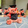 Graduation Teddy 26cm \ Graduation Gift \ University Convocation Gift \ Graduation Bear \ Diploma gift. 
