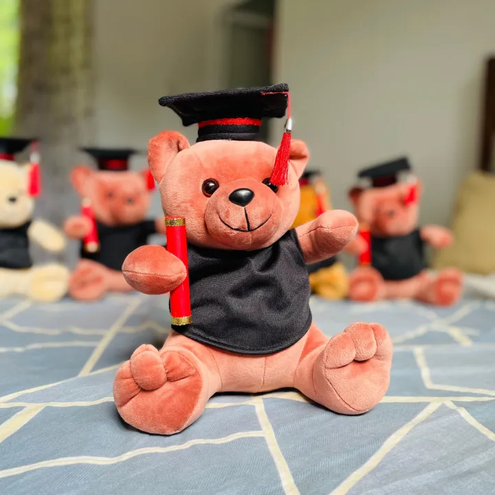 Graduation%20Teddy%2026cm%20%5C%20Graduation%20Gift%20%5C%20University%20Convocation%20Gift%20%5C%20Graduation%20Bear%20%5C%20Diploma%20gift%20-%20Image%206